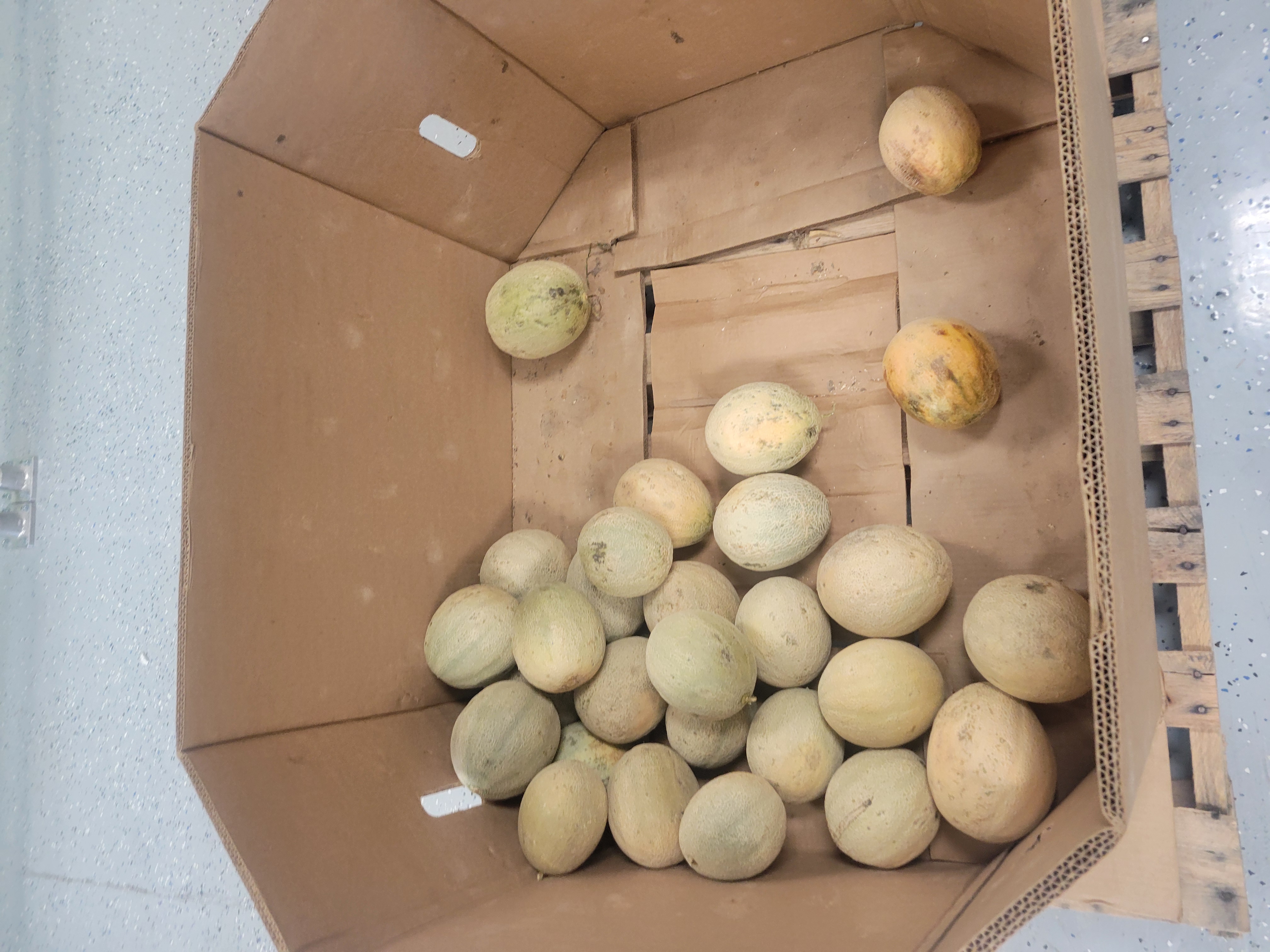 Cardboard container filled with cantaloupe.